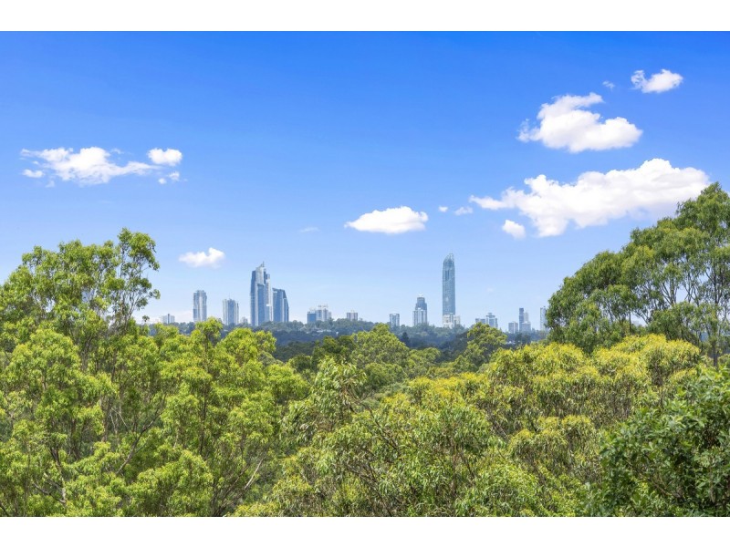 232 Crane Crescent, Nerang QLD 4211