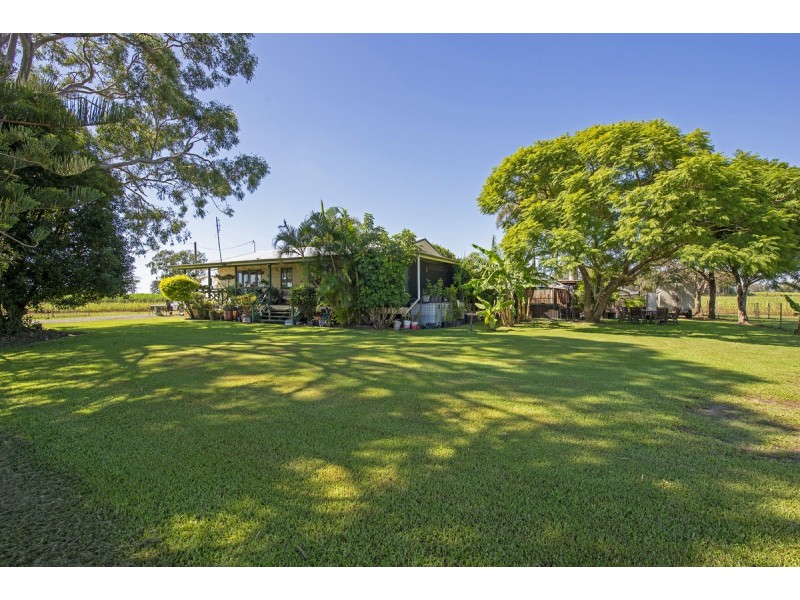 137 New Norwell Road, Woongoolba QLD 4207