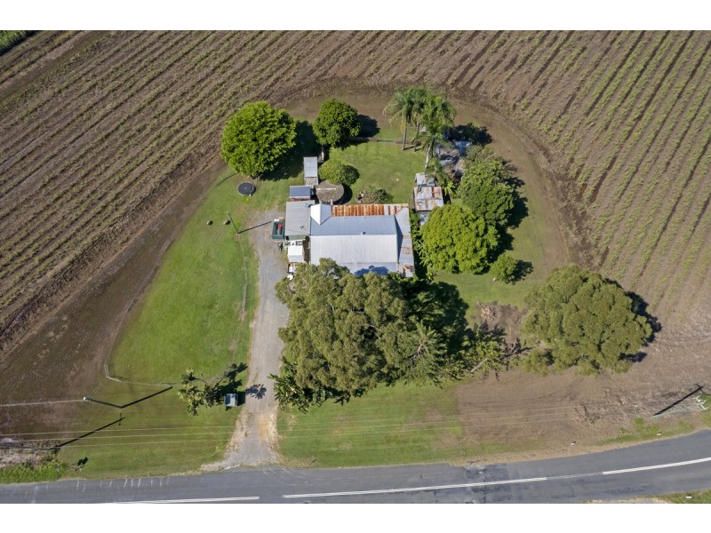 137 New Norwell Road, Woongoolba QLD 4207