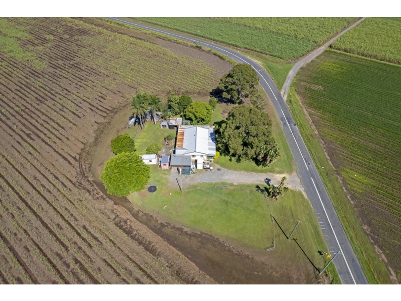 137 New Norwell Road, Woongoolba QLD 4207