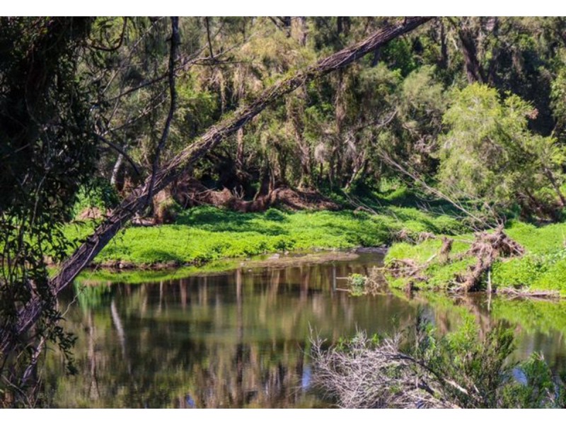 303 Latimers Crossing Road, Advancetown QLD 4211