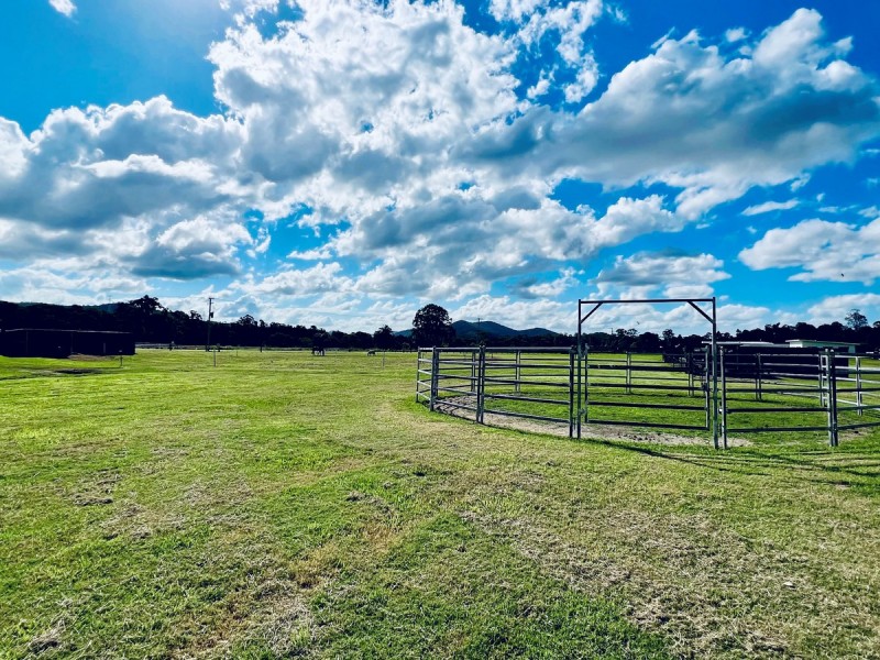 42 Equestrian Drive, Maudsland QLD 4210