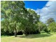 42 Equestrian Drive, Maudsland QLD 4210