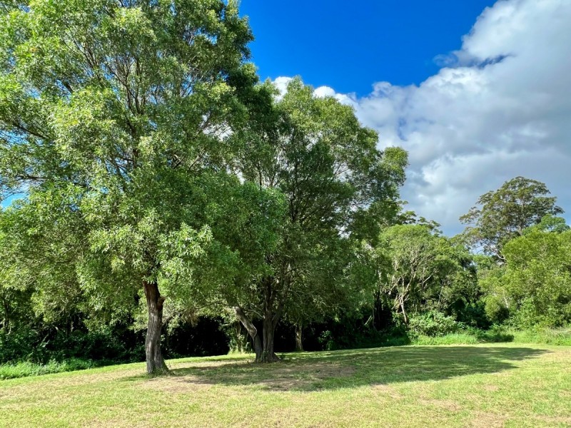 42 Equestrian Drive, Maudsland QLD 4210