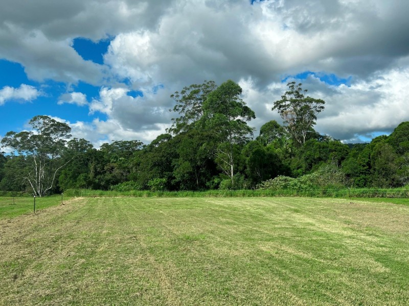 42 Equestrian Drive, Maudsland QLD 4210