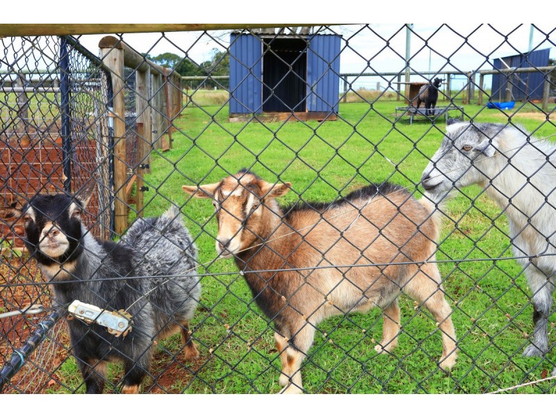 38 Summerville Road, Beechmont QLD 4211