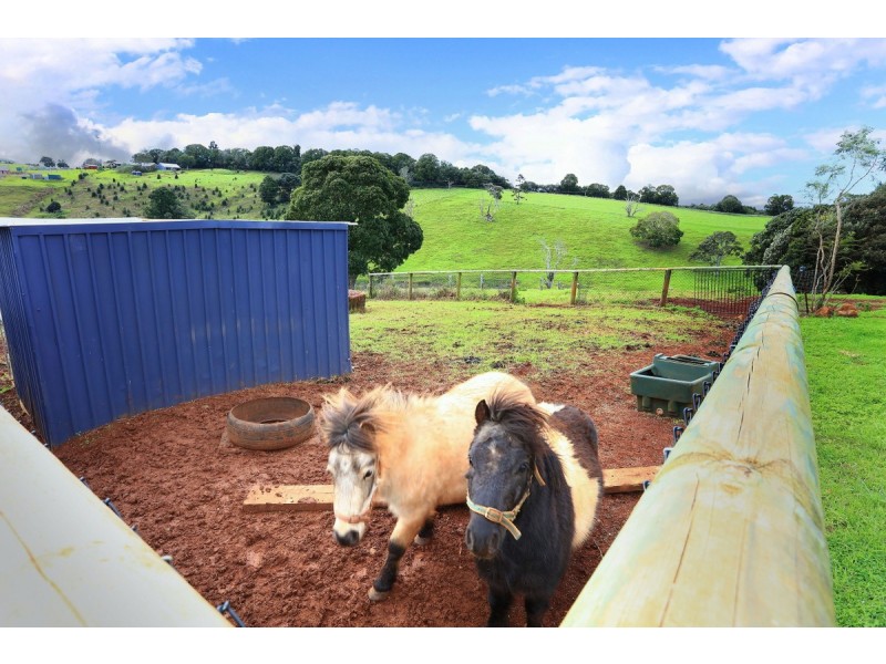 38 Summerville Road, Beechmont QLD 4211