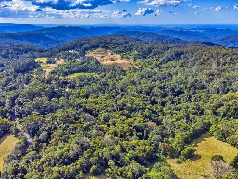 2461 Springbrook Road, Springbrook QLD 4213