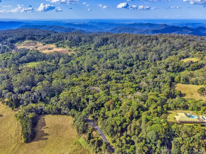 2461 Springbrook Road, Springbrook QLD 4213