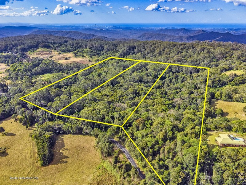 2461 Springbrook Road, Springbrook QLD 4213