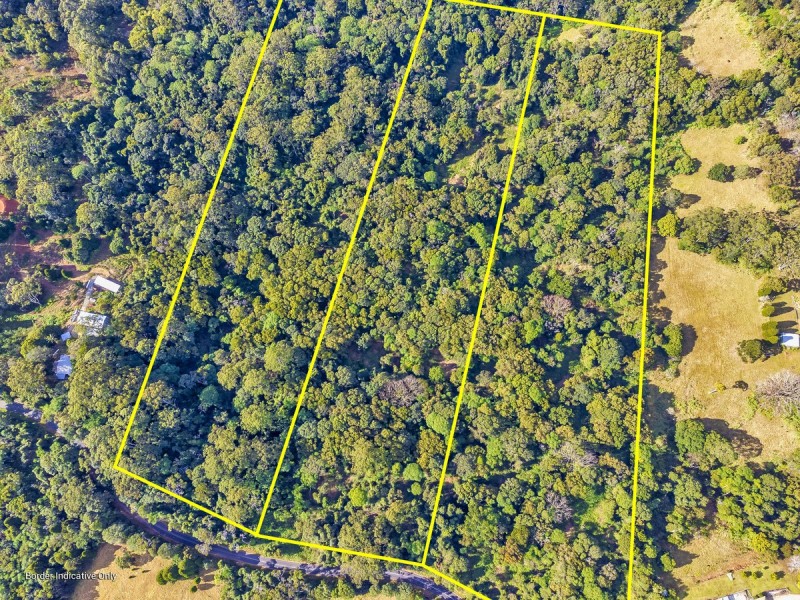 2461 Springbrook Road, Springbrook QLD 4213