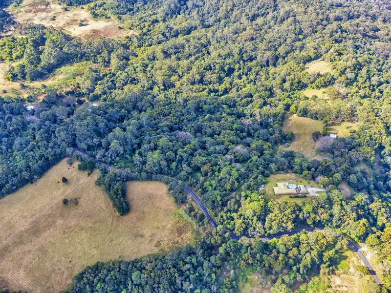 2461 Springbrook Road, Springbrook QLD 4213
