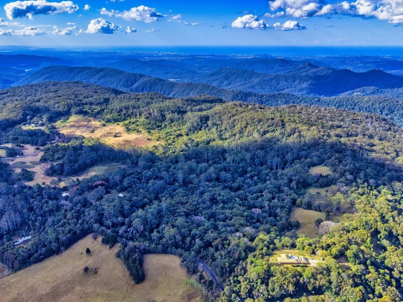 2461 Springbrook Road, Springbrook QLD 4213