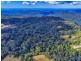 2461 Springbrook Road, Springbrook QLD 4213