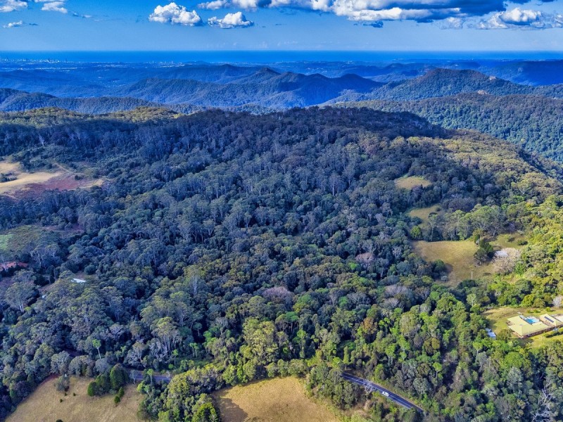 2461 Springbrook Road, Springbrook QLD 4213