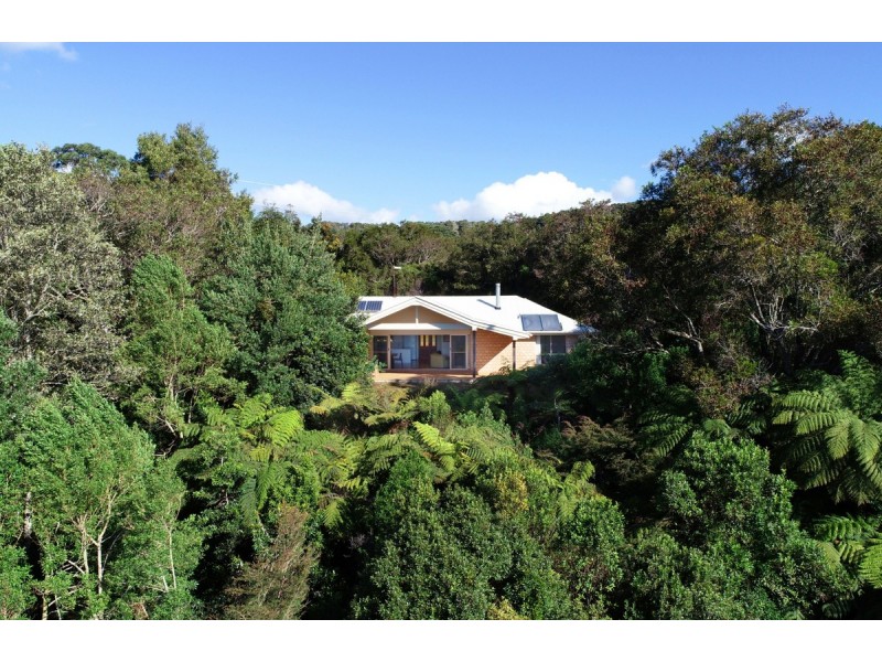 26 Bandicoot Lane, Springbrook QLD 4213