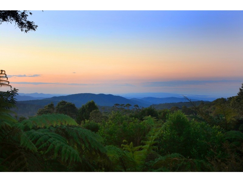 26 Bandicoot Lane, Springbrook QLD 4213