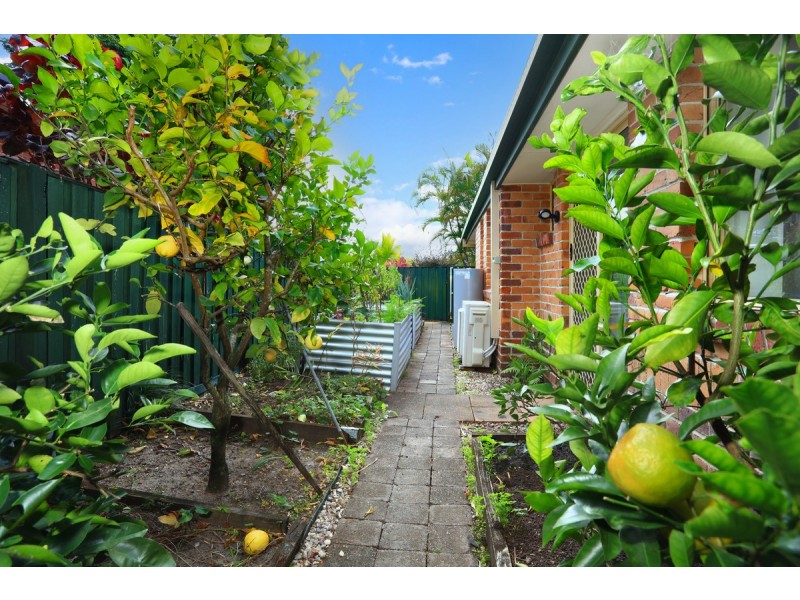 6 Billeroy Place, Nerang QLD 4211