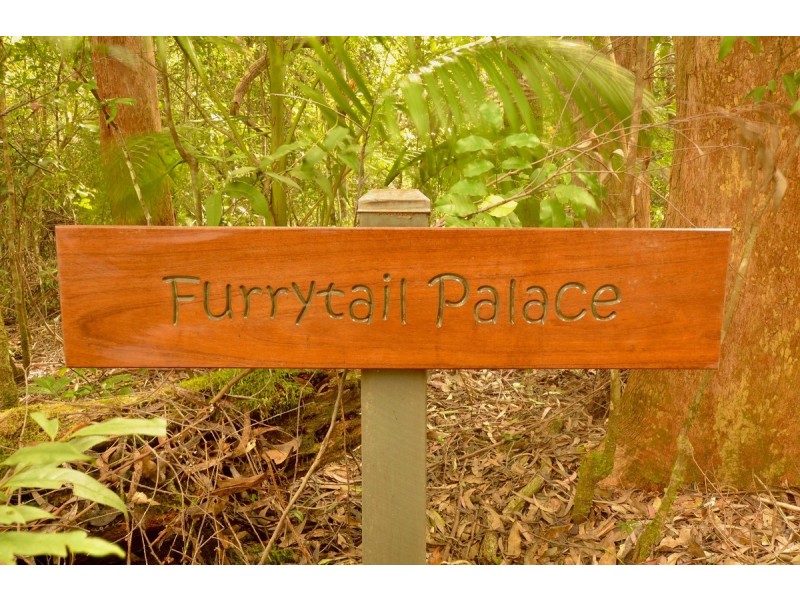 17 Mundora Road, Springbrook QLD 4213