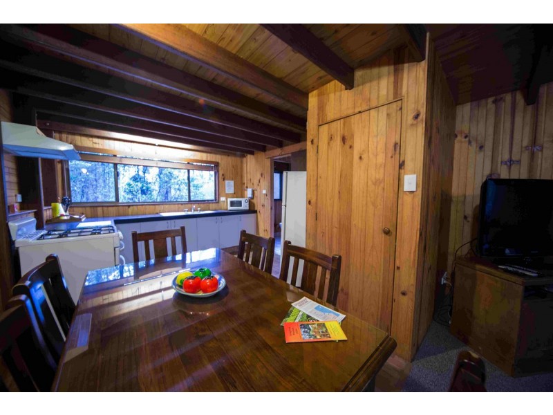 2058 Springbrook Road, Springbrook QLD 4213