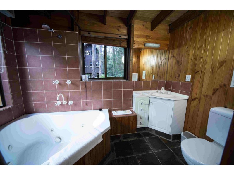 2058 Springbrook Road, Springbrook QLD 4213