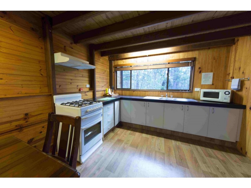 2058 Springbrook Road, Springbrook QLD 4213