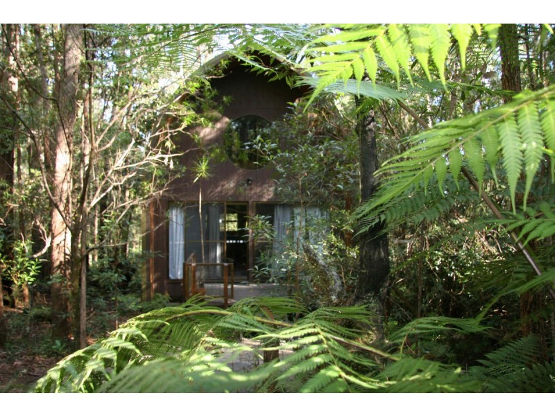 2058 Springbrook Road, Springbrook QLD 4213