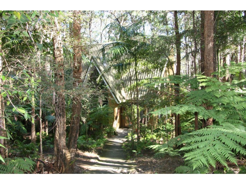 2058 Springbrook Road, Springbrook QLD 4213