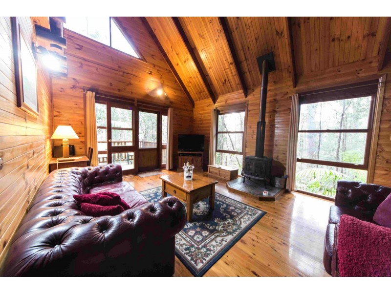 2058 Springbrook Road, Springbrook QLD 4213