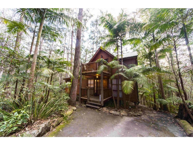 2058 Springbrook Road, Springbrook QLD 4213