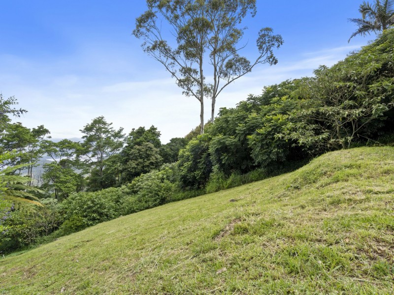 657 Beechmont Road, Lower Beechmont QLD 4211