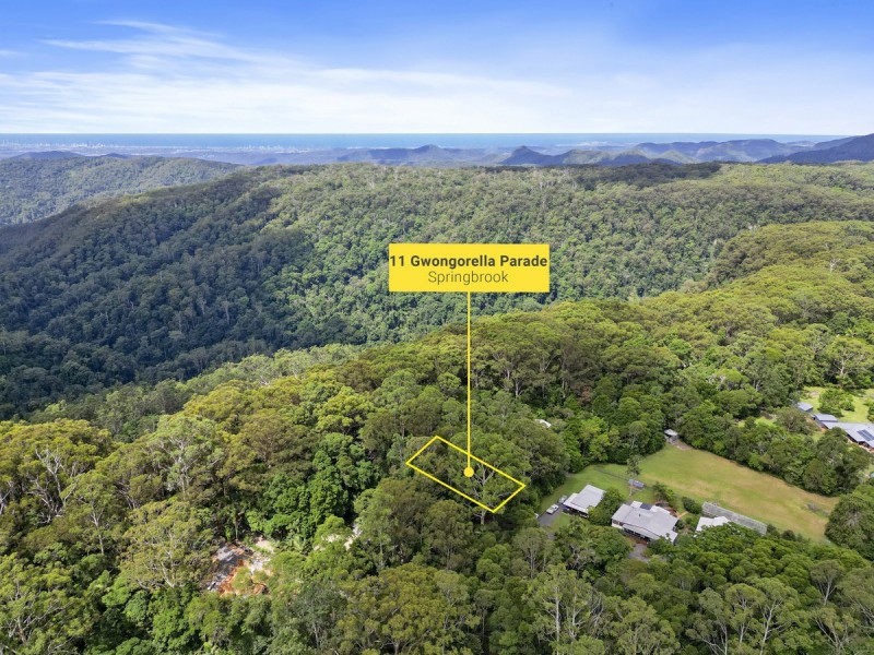 11 Gwongorella Parade, Springbrook QLD 4213