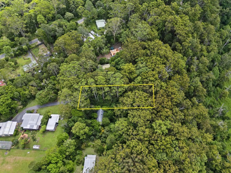 11 Gwongorella Parade, Springbrook QLD 4213