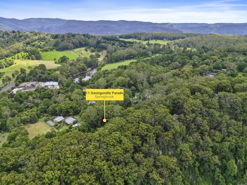 11 Gwongorella Parade, Springbrook QLD 4213