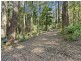 1943 Springbrook Road, Springbrook QLD 4213