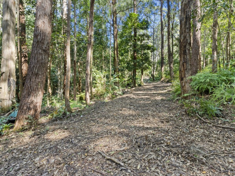 1943 Springbrook Road, Springbrook QLD 4213