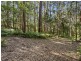 1943 Springbrook Road, Springbrook QLD 4213