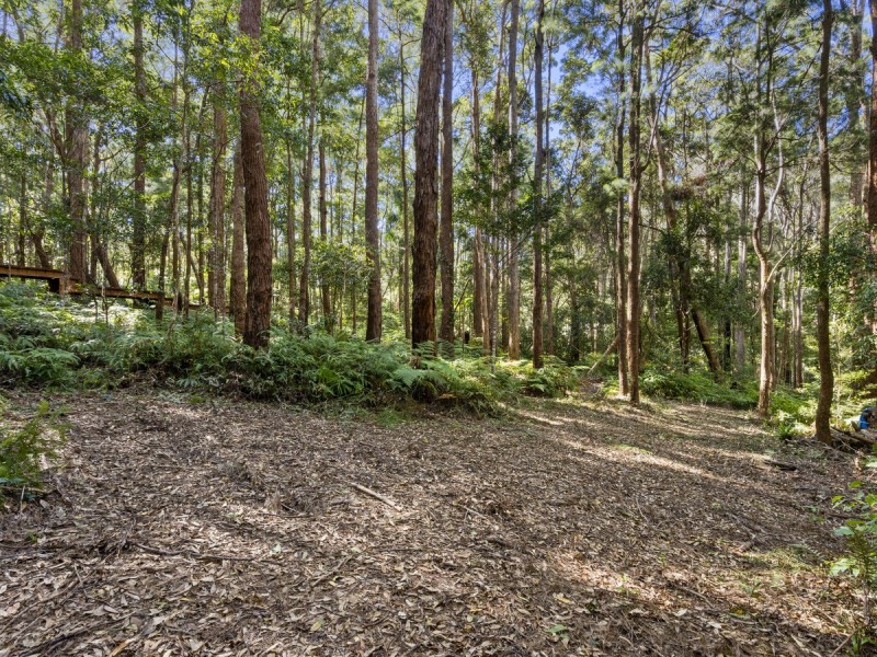 1943 Springbrook Road, Springbrook QLD 4213