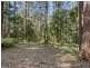 1943 Springbrook Road, Springbrook QLD 4213