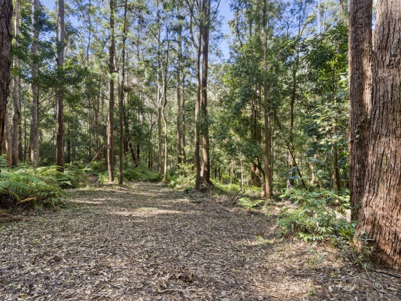 1943 Springbrook Road, Springbrook QLD 4213