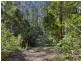 1943 Springbrook Road, Springbrook QLD 4213