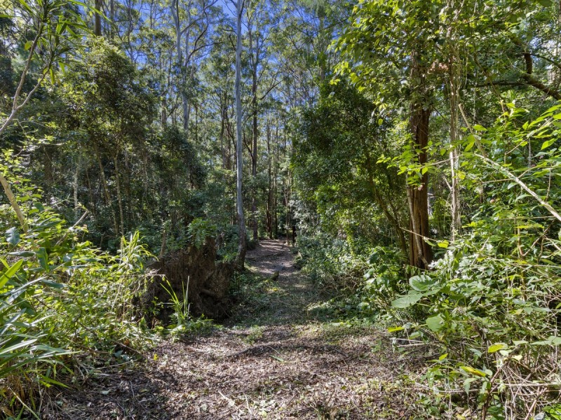 1943 Springbrook Road, Springbrook QLD 4213