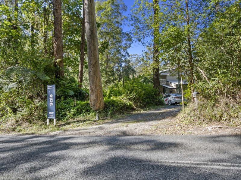 1943 Springbrook Road, Springbrook QLD 4213