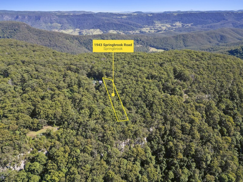 1943 Springbrook Road, Springbrook QLD 4213