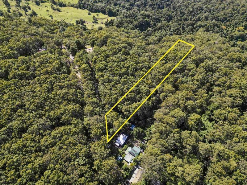 1943 Springbrook Road, Springbrook QLD 4213