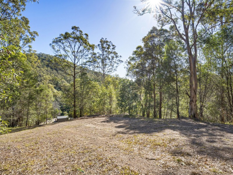 41 Diamantina Court, Clagiraba QLD 4211