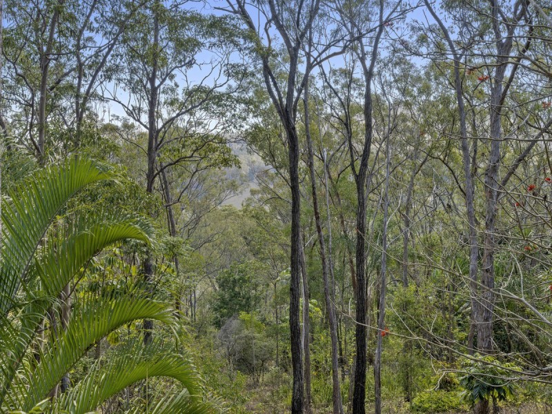 10 Lohmann Court, Canungra QLD 4275