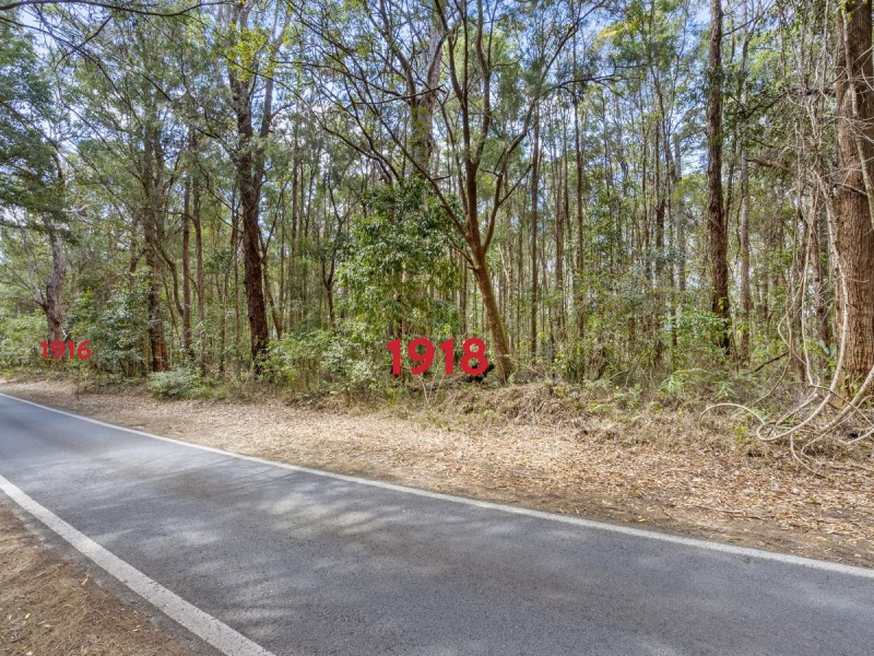 1916 Springbrook Road, Springbrook QLD 4213
