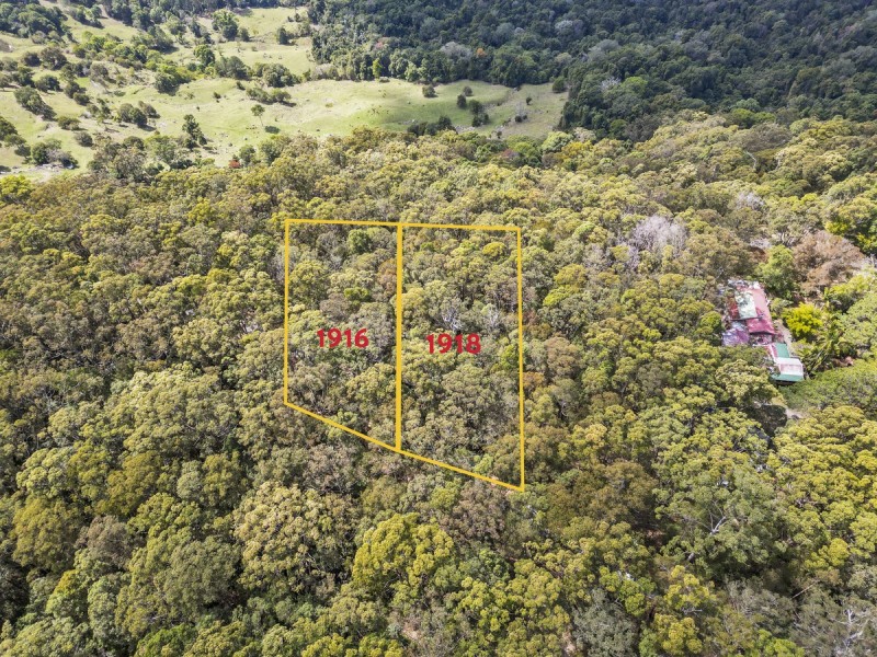 1916 Springbrook Road, Springbrook QLD 4213