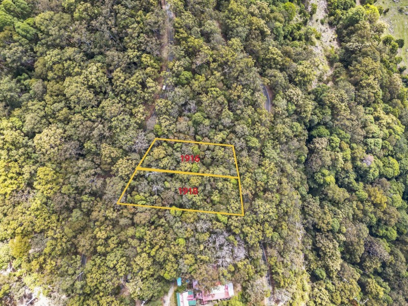 1916 Springbrook Road, Springbrook QLD 4213